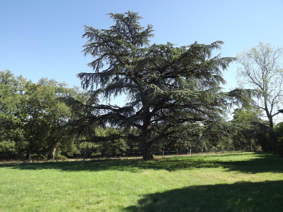 Manoir De L'Aisnerie Apartman Saint-Herblain Kültér fotó