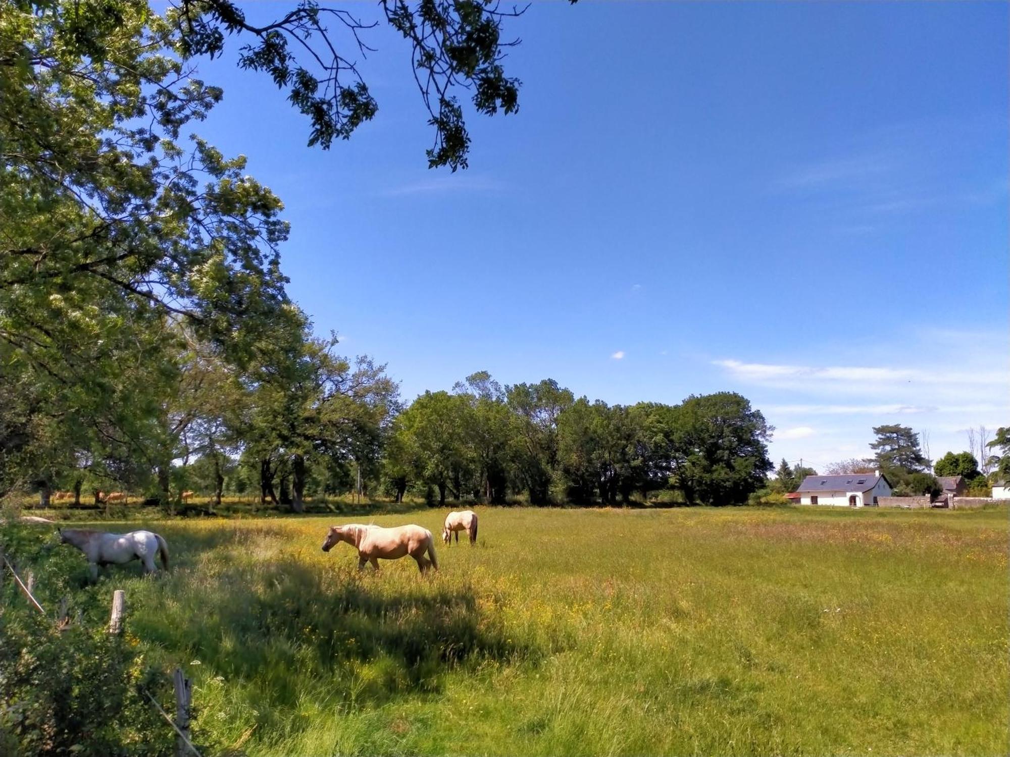 Manoir De L'Aisnerie Apartman Saint-Herblain Kültér fotó